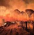 Incêndio no Pantanal em 2023  Foto: CBMS/Divulgação / Estadão