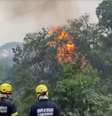 Agentes tentam conter chamas  Foto: Globo