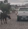  Foto: Reprodução / Porto Alegre 24 horas