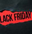 A Black Friday em 2024 será no dia 29 de novembro.  Foto: fdr