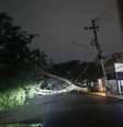 Fortes chuvas e ventania também provocam queda de árvores na cidade de São Paulo. Na foto, ocorrência na Rua Dom Armando Lombardi, 470.  Foto: Divulgação/Defesa Civil do Estado de SP / Estadão
