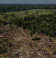 Área com desmatamento ilegal no Estado do Acre, em julho de 2022  Foto: Rafael Vilela, para The Washington Post/Getty Images / Guia do Estudante