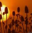  Foto: Climatempo