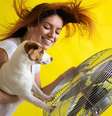 Foto: Adobe Stock