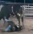 Adolescente morre após ser pisoteado por touro em rodeio no Mato Grosso   Foto: Reprodução/Redes Sociais 