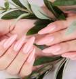 Alongamento de unhas é sucesso nos salões de beleza -  Foto: Shutterstock / Alto Astral