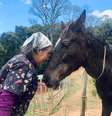 Cavalo Shanti chega machucado ao Santuário Francisco da Mantiqueira e recebe ajuda  Foto: Santuário Francisco da Mantiqueira / Redação Planeta
