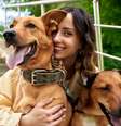 Ter mais de um cachorro pode ser benéfico tanto para o animal quanto para o tutor  Foto: Gerain0812 | Shutterstock / Portal EdiCase