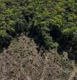 Estudo de Oxford projeta que Brasil vai desmatar 64 milhões de hectares até 2050  Foto: Reuters / BBC News Brasil