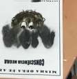 Atividade em colégio usa palha de aço para representar cabelos afro no Dia da Consciência Negra  Foto: Reprodução/Twitter