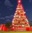 Parque Villa-Lobos inaugura árvore de Natal de 50 metros  Foto: Reserva Parques