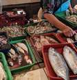 Varejistas de peixe, carnes e comércios em geral podem ter convenções sobre trabalho aos feriados alteradas no ano que vem   Foto: Reprodução/iStock/Aprianto Nugroho