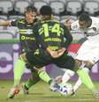Botafogo empata com o Coxa -  Foto: Divulgação/Botafogo / Esporte News Mundo