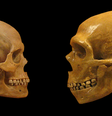 Os neandertais tinham capacidade de ouvir sons da mesma frequência que a fala dos Homo sapiens, e usavam muitas consoantes na sua comunicação (Imagem: hairymuseummatt/DrMikeBaxter/CC-BY-S.A-4.0)  Foto: Canaltech