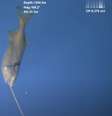 Peixe raro é estudado por cientistas da Nova Zelândia  Foto: Reprodução/YouTube/ROV edward