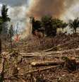 Árvores cortadas são queimadas na floresta amazônica no município paraense de Bujaru: desmatamento coloca Brasil na lista dos principais emissores de CO² na atmosfera.  Foto: Daniel Teixeira/Estadão / Estadão