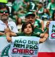 Palmeirenses relembram antiga provocação ao Flamengo nas redes sociais  Foto: Gazeta Press
