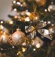 A maior árvore de Natal nem sempre é a melhor, diz pesquisa.  Foto: Oleg Magni/Pexels / Casa.com