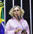 Texto aprovado pela Câmara dos Deputados é um substitutivo da deputada Ana Paula Lima (PT-SC), que faz parte da Comissão de Previdência, Assistência Social, Infância, Adolescência e Família, de acordo com a Agência Câmara de Notícias  Foto: Zeca Ribeiro/ Câmara dos Deputados