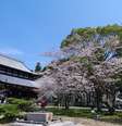 Wakayama, no Japão   Foto: Wikimedia Commons