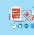 A doação sanguínea é um procedimento simples e que pode salvar a vida do pet em caso de doenças, acidentes ou cirurgias  Foto: Becris | Shutterstock / Portal EdiCase