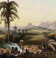 Gravura de Robert H. Schomburgk do interior da Guiana  Foto: Londres: Ackermann, 1841 / BBC News Brasil