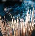 Esses aromas podem trazer positividade para esse ano -  Foto: Shutterstock / João Bidu