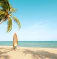 Pegar onda no verão - Shutterstock  Foto: Sport Life