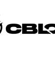CBLOL 2024 começa em janeiro; veja detalhes  Foto: 