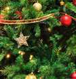 Veterinários alertam que as agulhas dos pinheiros das árvores de Natal podem ser perigosas para os gatos  Foto: - Rosalia Ricotta / Pixabay / Flipar