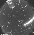 Foto tirada durante o pico da chuva de meteoros Gemínidas em 2014 (Imagem: Reprodução/NASA/MSFC/Danielle Moser, NASA's Meteoroid Environment Office)  Foto: Canaltech
