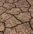 Seca causada pelo El Nino.  Foto: Foto: istock