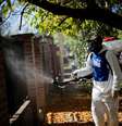 Mudanças climáticas são apontadas como um dos fatores que contribuem para multiplicação de casos de dengue na Europa  Foto: Reuters / BBC News Brasil
