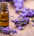Conheça seis opções de óleos essenciais que vão trazer benefícios para o corpo e para a mente feminina  Foto: Shutterstock / Alto Astral