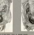 Pesquisadores utilizam tomografia computadorizada para aprofundar estudos  Foto: Reprodução/International Journal of Osteoarchaeology
