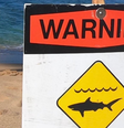 Aviso de perigo em praia no Havaí após surfista ser atacado por tubarão.  Foto: Foto: reprodução @countyofmaui