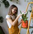 Preserve a beleza e vitalidade das suas plantas no verão  Foto: Shutterstock / Alto Astral