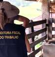 Trabalho escravo e análogo à escravidão  Foto: Ministério do Trabalho/Divulgação / Perfil Brasil