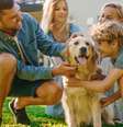 Adotar um pet exige responsabilidade  Foto: Gorodenkoff | Shutterstock / Portal EdiCase