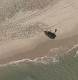 Corpo foi encontrado por bombeiros na Barra da Tijuca   Foto: Reprodução/TV Globo