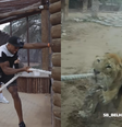 Cabo-de-guerra entre Anthony Joshua e ligre, em Dubai  Foto: Reprodução/Redes Sociais