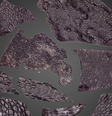 Fóssil de pele de réptil de 289 milhões de anos  Foto: Mooney et al./Current Biology