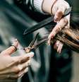 A frequência para o corte de cabelo depende de outros fatores como a saúde dos fios  Foto: Shutterstoc / Alto Astral