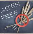Há diversas opções para substituir alimentos com glúten  Foto: Pixelbliss | shutterstock / Portal EdiCase