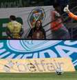  Foto: Cesar Greco/Palmeiras - Legenda: Weverton defenderá o gol do Palmeiras por mais três temporadas / Jogada10
