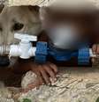Mãe responderá por abandono após deixar filho de 2 anos sozinho com o cachorro  Foto: Alisson Pereira/Conselho Tutelar
