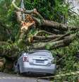 Chuva causou destruição em Porto Alegre   Foto:  Evandro Leal/Enquadrar / Estadão