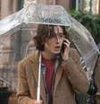 Timothée Chalamet em Um Dia de Chuva em Nova York  Foto: Divulgação
