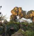 Área temática de Avatar no Magic Kingdom  Foto: Kent Phillips/Walt Disney World/Divulgação / Viagem e Turismo