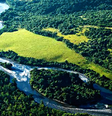 Imagem de área da Mata Atlântica   Foto: Reprodução/Redes Sociais 